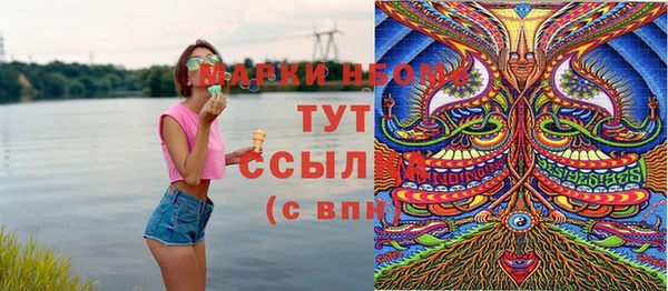 spice Богородицк