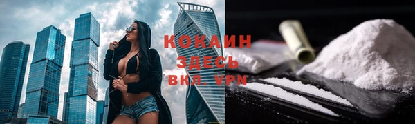 spice Богородицк