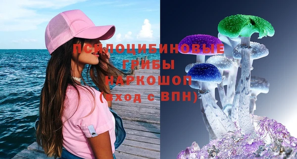 дурь Богородск
