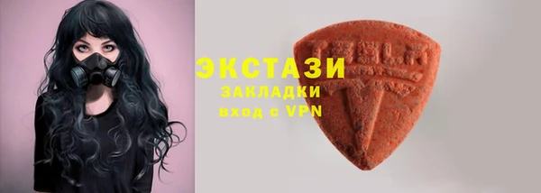 spice Богородицк