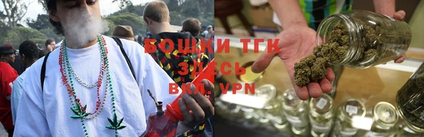 spice Богородицк