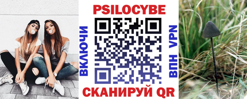 omg tor  Верхняя Тура  Галлюциногенные грибы мицелий 